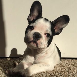 Meet your Posher, Erin